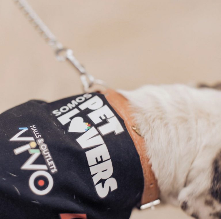 Será imposible que no te enamores de ellos: En VIVO Los Trapenses se vivirá una nueva jornada de adopción de mascotas