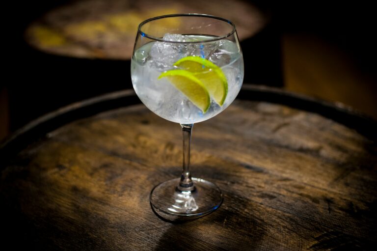 Celebremos el Día Internacional del Gin Tonic: Descubre más sobre su historia y origen 