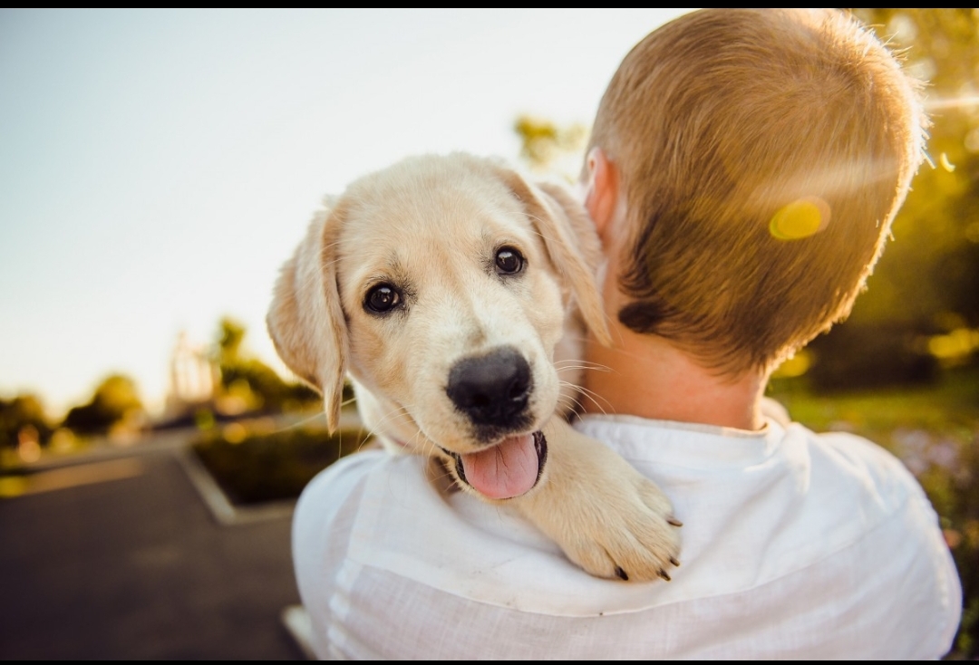 Tendencias Animales en 2025: Innovación, sostenibilidad y el futuro del bienestar animal