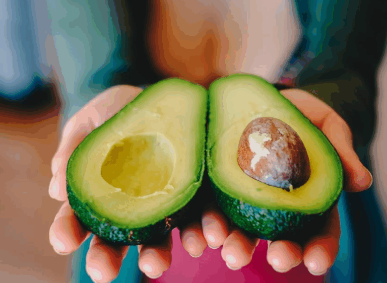 Cuida tu palta como un experto: trucos para conservarla fresca por más tiempo