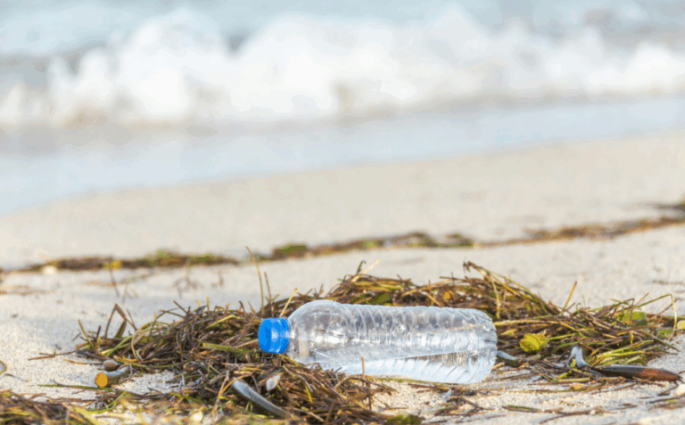 Día Marítimo Mundial: Fensa invita a proteger los océanos con acciones desde el hogar