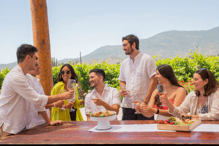 Primavera en el Valle de Colchagua: el vino y el enoturismo como protagonistas del turismo en Chile