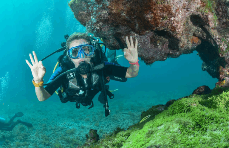 Los imperdibles de Brasil para el verano 2026: Dani Urrizola revela sus favoritos y entrega consejos para conocerlos