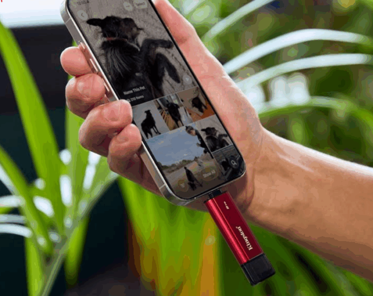 Fotografía en vacaciones ¿Qué tipo de usuario eres? 