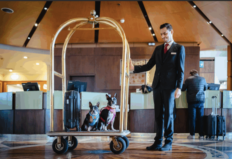 Cómo elegir el hotel ideal para tus vacaciones 2026: las claves que no puedes pasar por alto