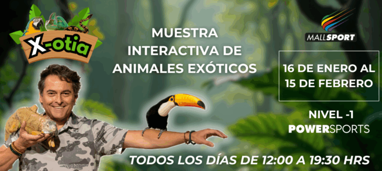 X-OTIA llega a Mall Sport con una propuesta educativa y familiar que invita a descubrir el mundo de los animales exóticos