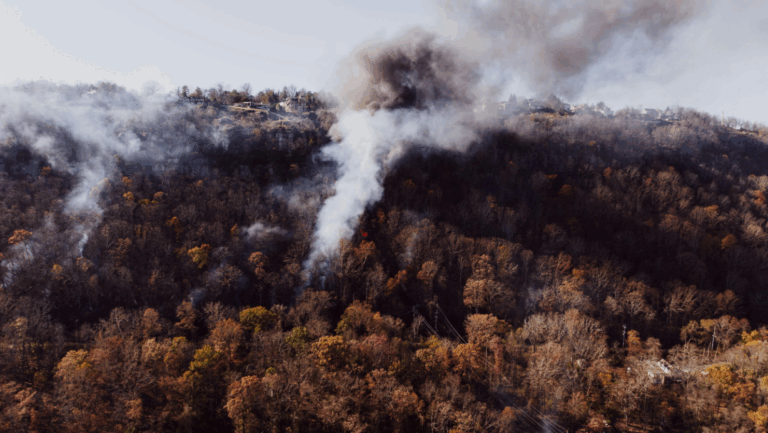 Humo y salud: cómo protegerse durante los incendios forestales