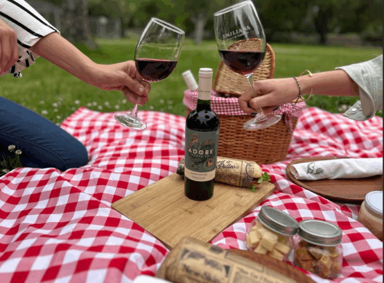 Un 14 de febrero en Casablanca: VIÑEDOS ORGÁNICOS EMILIANA  INVITA A CREAR TU PROPIO VINO y DISFRUTAR DE UN PICNIC ENTRE LOS VIÑEDOS 