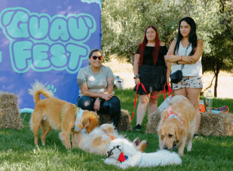 Avísale a tu perro: Vuelve GuauFest, el primer parque de diversiones 100% pensado para ellos 