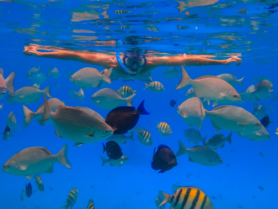 El 88% de las reservas de chilenos para Semana Santa se concentra en viajes internacionales  