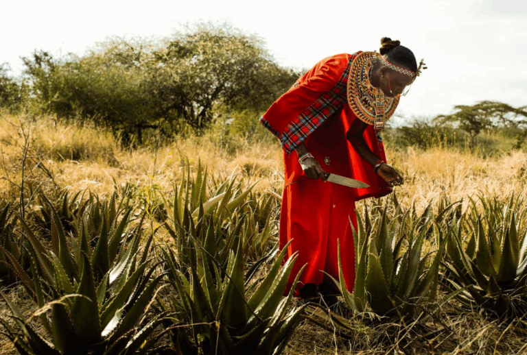 COSMÉTICA VEGANA: CUANDO EL CUIDADO SE TRANSFORMA EN ÉTICA, CONCIENCIA Y SUSTENTABILIDAD