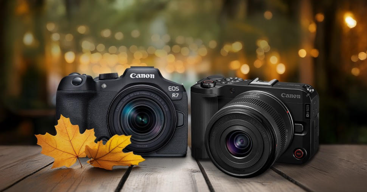 Otoño en foco: cómo capturar la magia de la temporada con fotografías llenas de color y luz