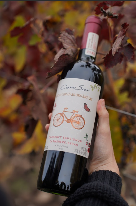 Tintos con carácter: Por qué el Carmenere y el Cabernet son los imprescindibles de la estación