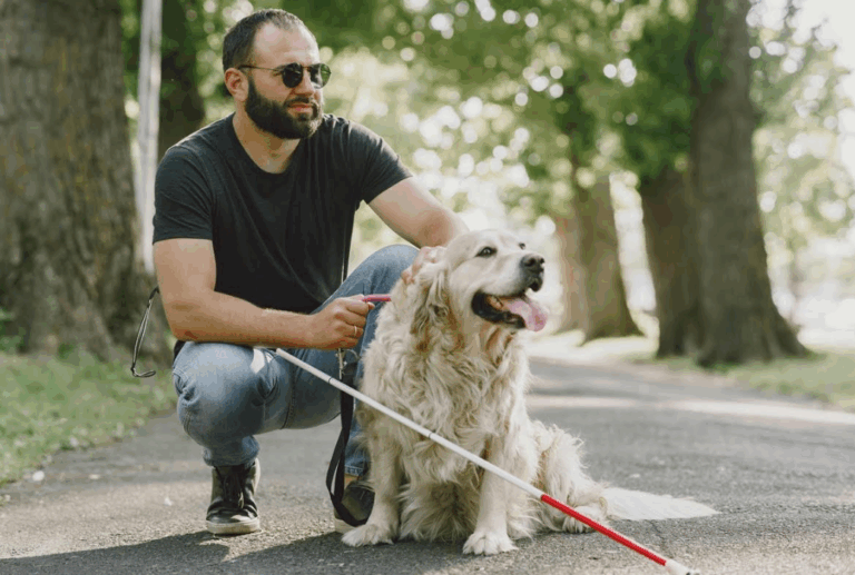Día Mundial del Perro Guía: Huellas que iluminan el camino