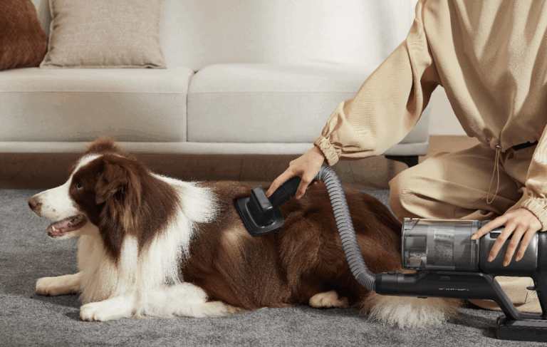Alfombras bajo amenaza: el desafío invisible de la limpieza profunda en hogares con mascotas
