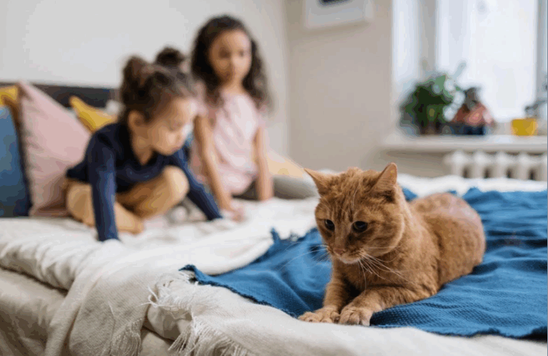 Vínculos entre niños y mascotas: Cuatro maneras de fortalecerlos