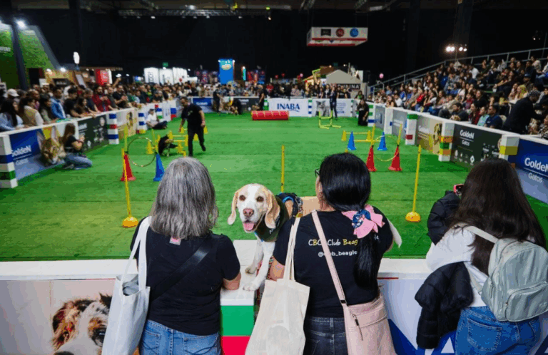 Expo Mascotas & Animales potenciará negocios del sector en Chile en medio de fuerte auge