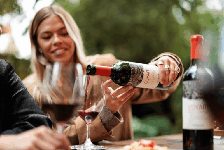 Los mejores vinos orgánicos para darle la bienvenida al otoño: la guía de maridaje de Viñedos Orgánicos Emiliana