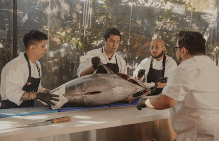 En el mes de los océanos, Chile incorpora atún aleta azul al mercado gastronómico bajo estándares de clase mundial