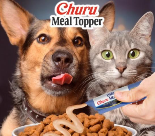 Variedad de alimentos para perros y gatos ¿Cómo elegir el correcto?