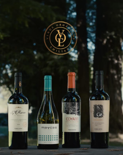 Viñedos Orgánicos Emiliana da un salto estratégico y lanza exclusiva División de Vinos Premium 