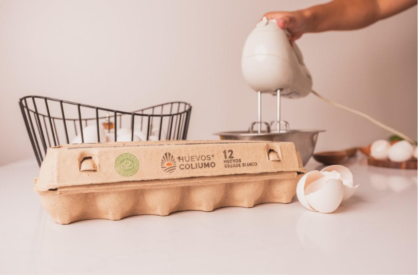Huevos Coliumo y La Castellana: innovación y calidad que transforman la industria en Chile