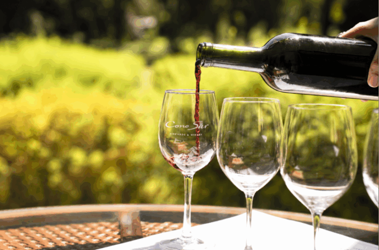 Vino chileno: cuando el origen construye una identidad