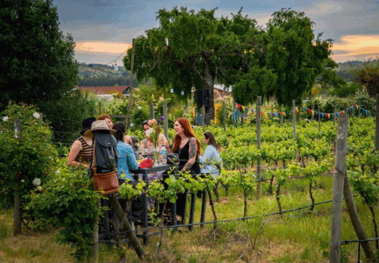 Viña Ranquilhue abre sus puertas para celebrar la primavera con una experiencia de vinos, gastronomía y música en Pumanque