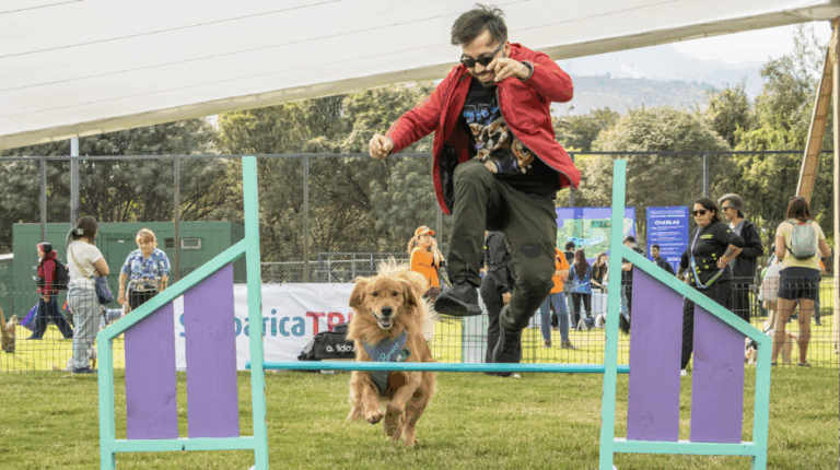 GuauFest entra en su último mes: más de 25 actividades y experiencias para compartir junto a tu perro